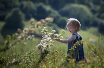 savouring each season