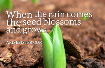 quotes-When-the-rain-comes-