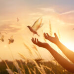 When Forgiveness Changes Everything